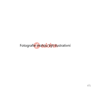 Třmen kotoučové brzdy (AUTOFREN SEINSA D4290) 4356857 Třmen kotoučové brzdy (AUTOFREN SEINSA D4290) 4356857