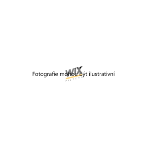 Vzduchový filtr (WIX 93163E) 4814921 Vzduchový filtr (WIX 93163E) 4814921