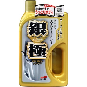 Kiwami Extreme Gloss šampon Silver 750 ml - SOFT102 ACSOFT04291