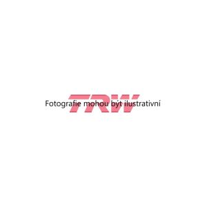 Brzdová hadice (TRW PHB113) 1731199