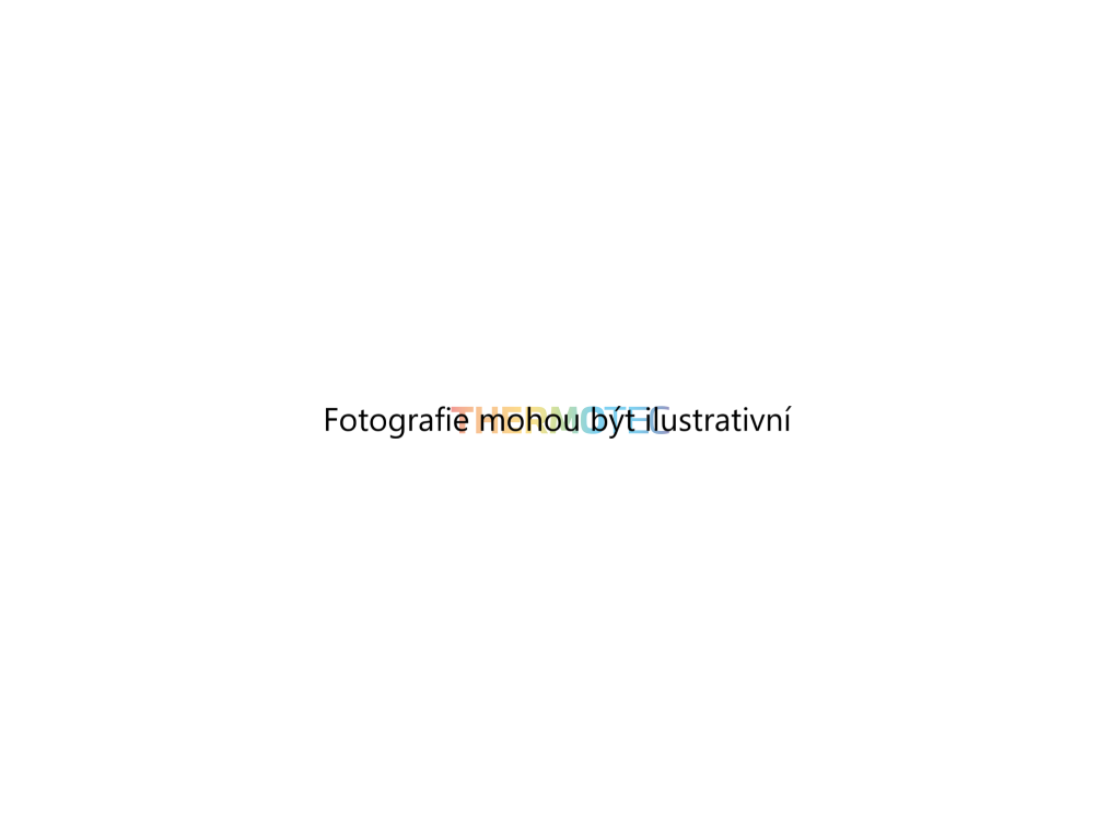 Větrák, chlazení motoru (THERMOTEC D8W016TT) 6872899