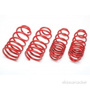 Sportovní pružiny 60/35mm Mercedes C-CLASS (W204) EVOMB074F/1 Sportovní pružiny 60/35mm Mercedes C-CLASS (W204) EVOMB074F/1